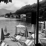 Camelia Riviera D'orta Годзано