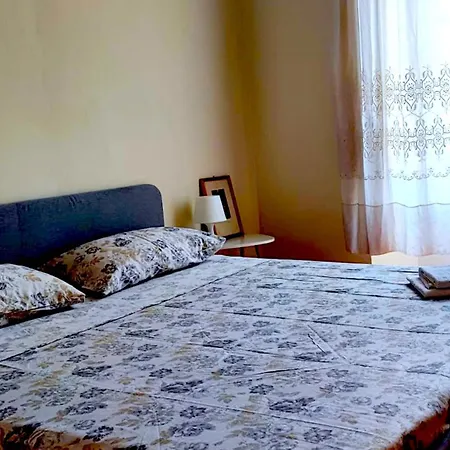 Camelia Riviera D'orta Gozzano