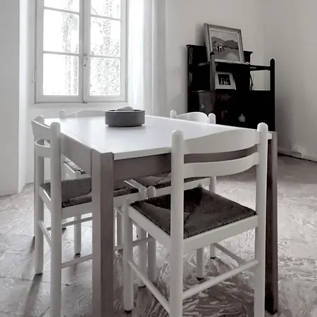 Camelia Riviera D'orta Gozzano