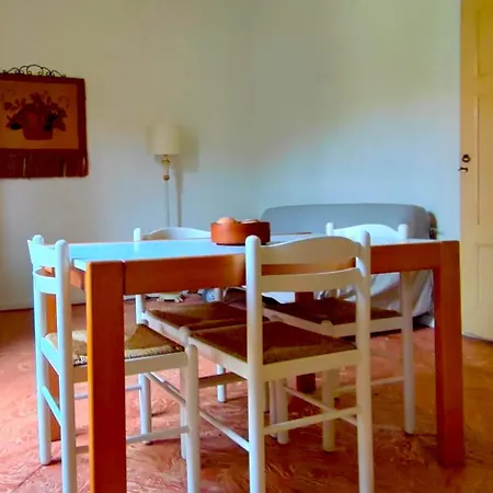 Camelia Riviera D'orta