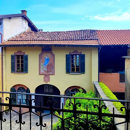 Camelia Riviera D'orta