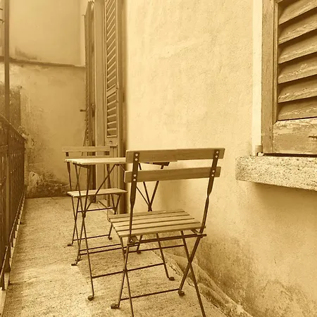 Camelia Riviera D'orta Gozzano