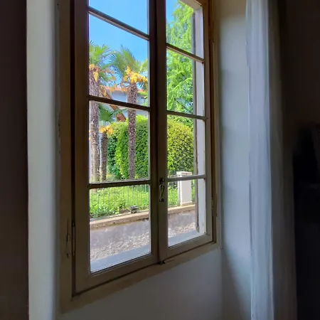 Camelia Riviera D'orta *