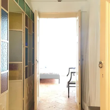 Camelia Riviera D'orta *