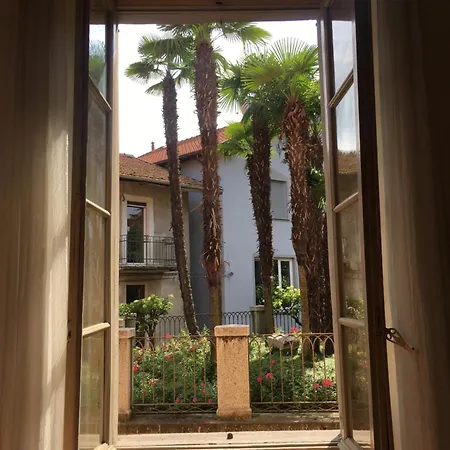 Camelia Riviera D'orta