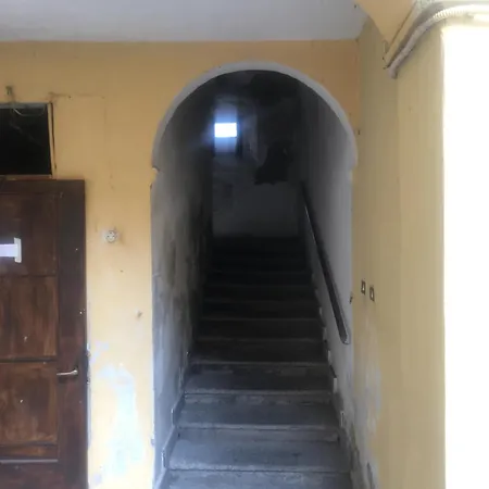 Camelia Riviera D'orta * Gozzano