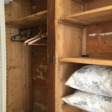 Camelia Riviera D'orta