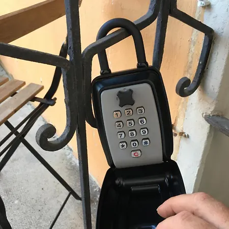 Camelia Riviera D'orta Gozzano