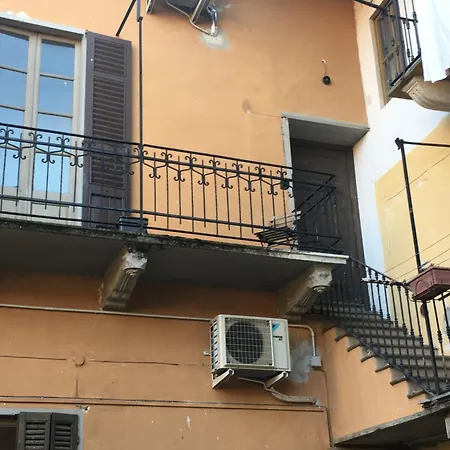 Camelia Riviera D'orta Gozzano