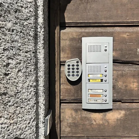 Camelia Riviera D'orta *